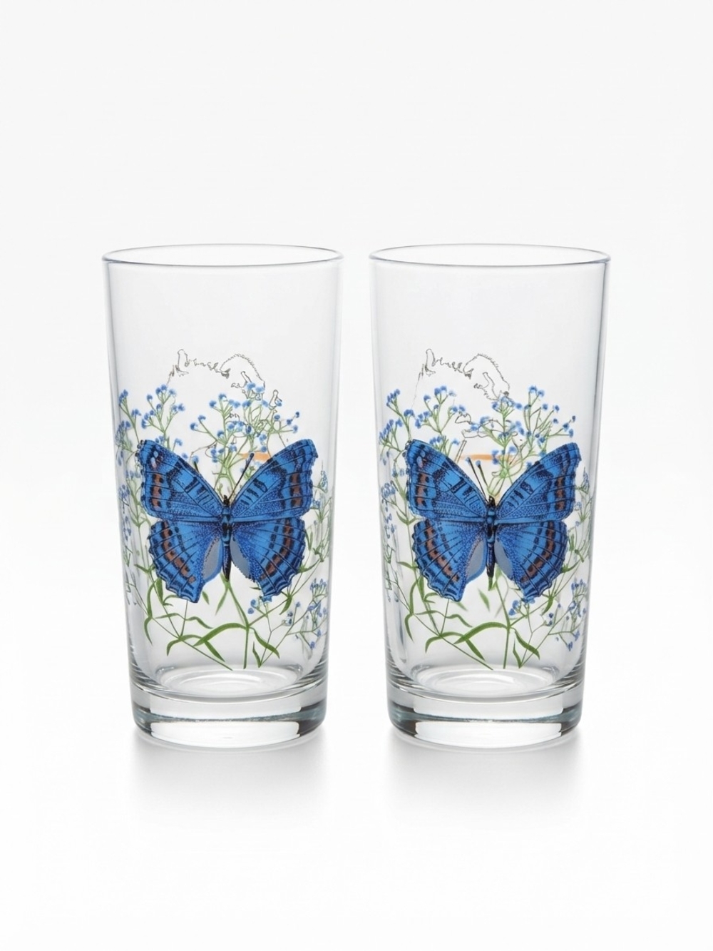 Vintage VMC Reims France Butterflies of the World Africa Blue Butterfly Glasses